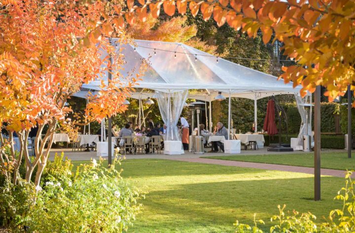 autumn event tent with orange foliage.