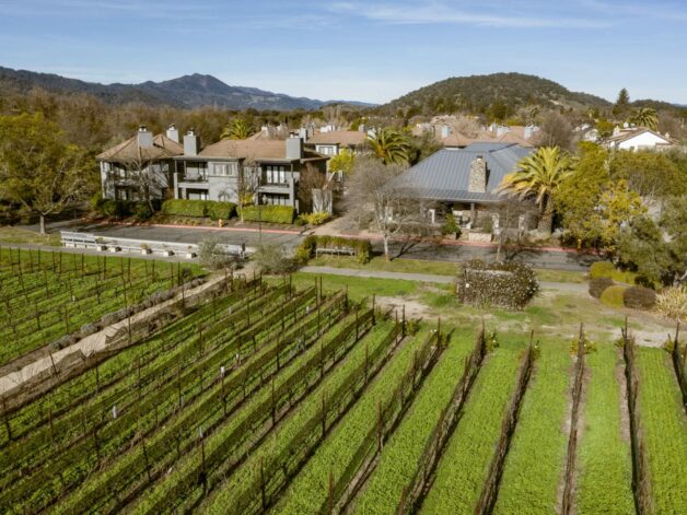 aerial of the estate and vineyard.