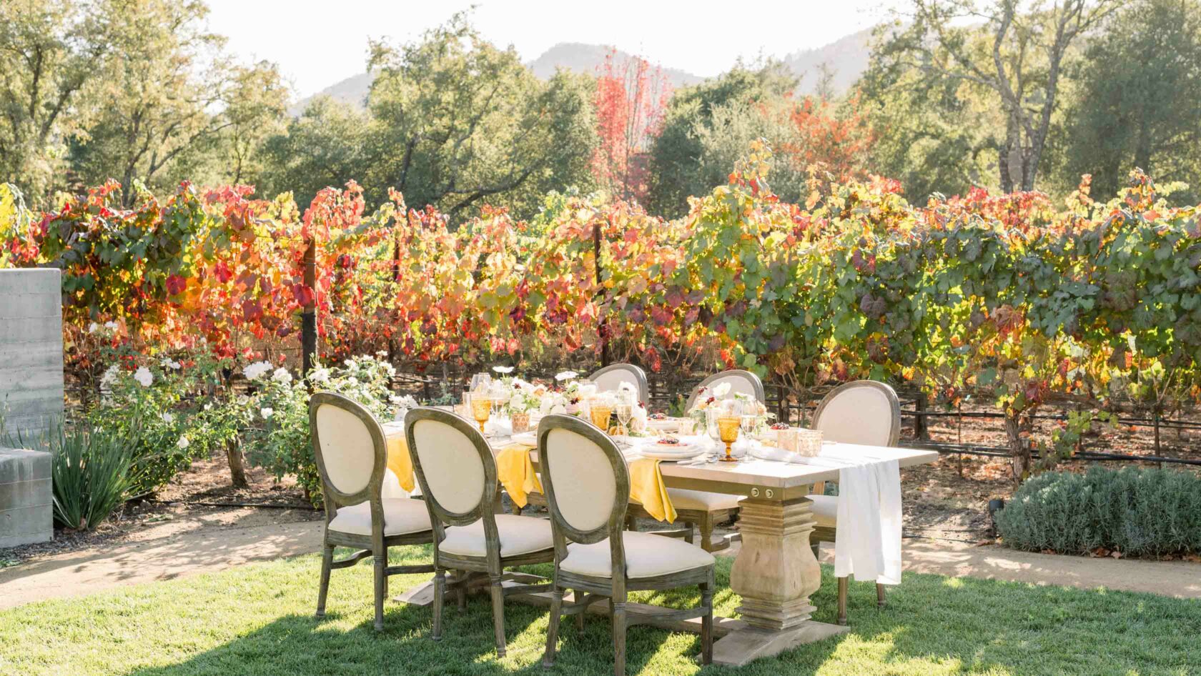 table set up at a vineyard wedding.