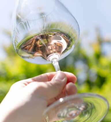 white wine glass outdoors.