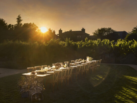 Vineyard table at sunset.